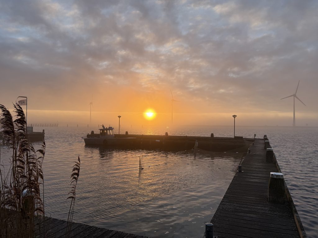 What happens at the yard about what is all going on at VMG